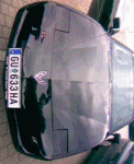 Bild009.gif