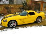 Viper.jpg