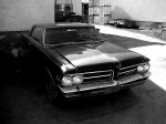 IMG_3766 2.jpg