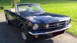 Mustang Convertible 1965 komp..jpg