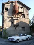 CAM01320.jpg