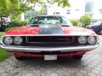 IMG_20140713_080130.jpg