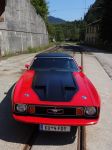 20150809_Mustang_025_jpg.jpg