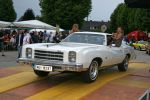 TRAUN500_2011_G_249.jpg