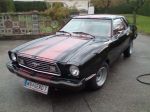 Mustang 1.jpg